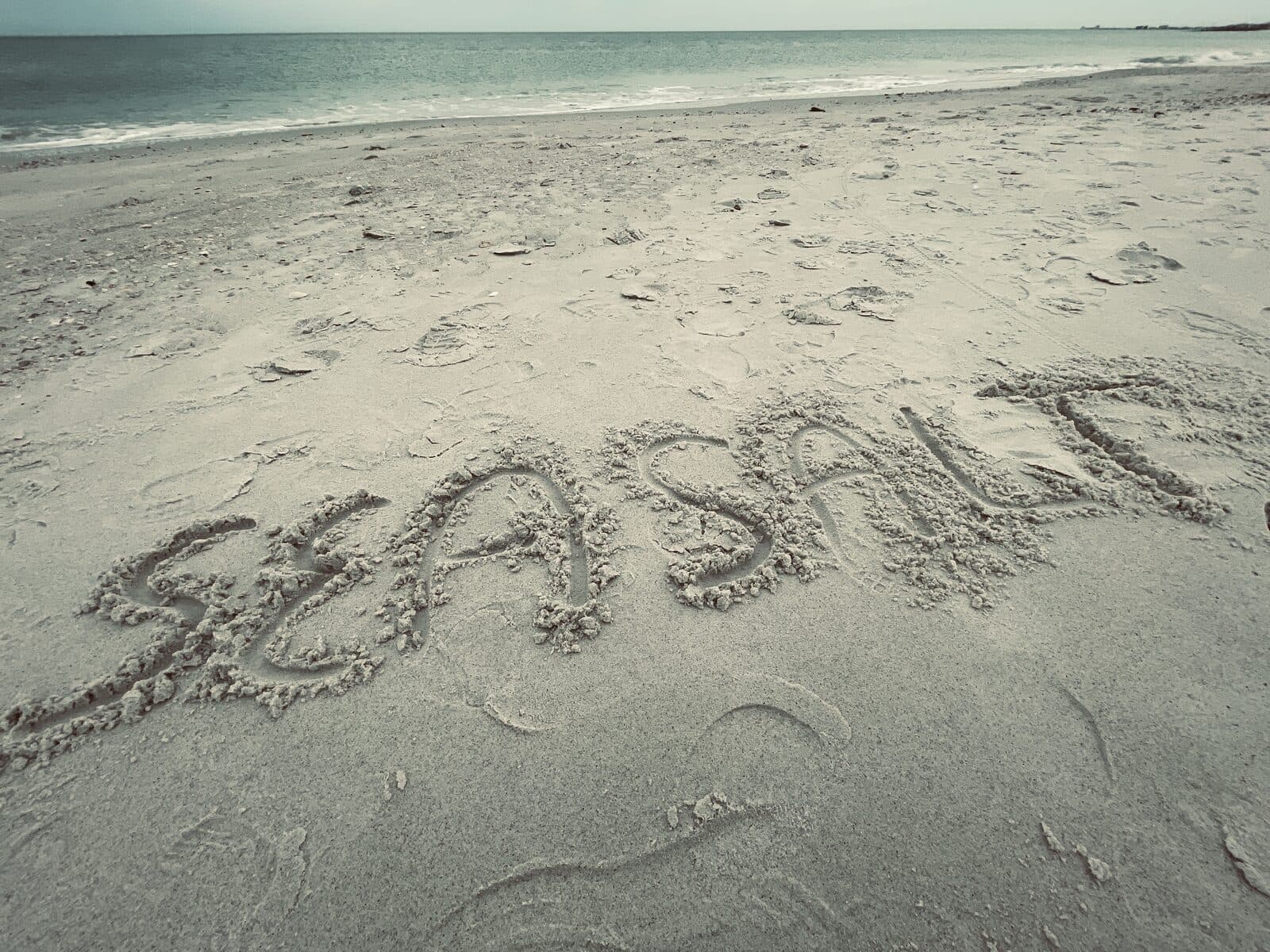 Things to do in Madeira Beach