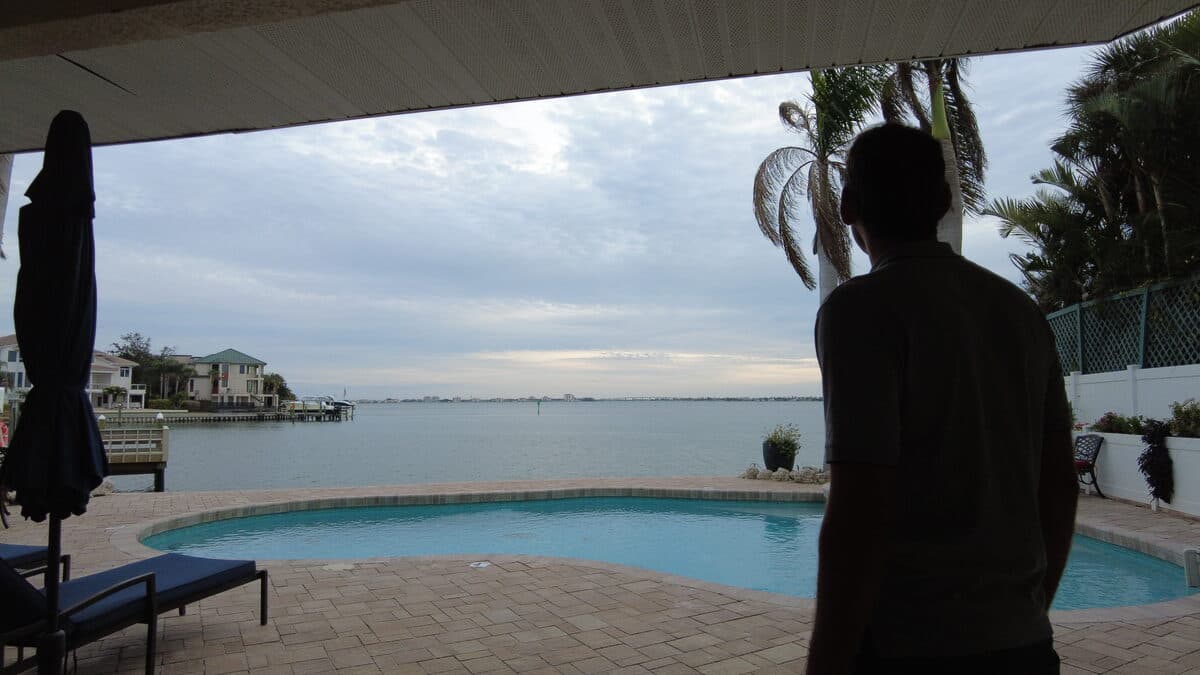 Dolphin Watching Near Madeira Beach: Tours, Tips & Best Times